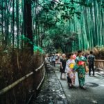 It's not just Arashiyama where it's fun to walk